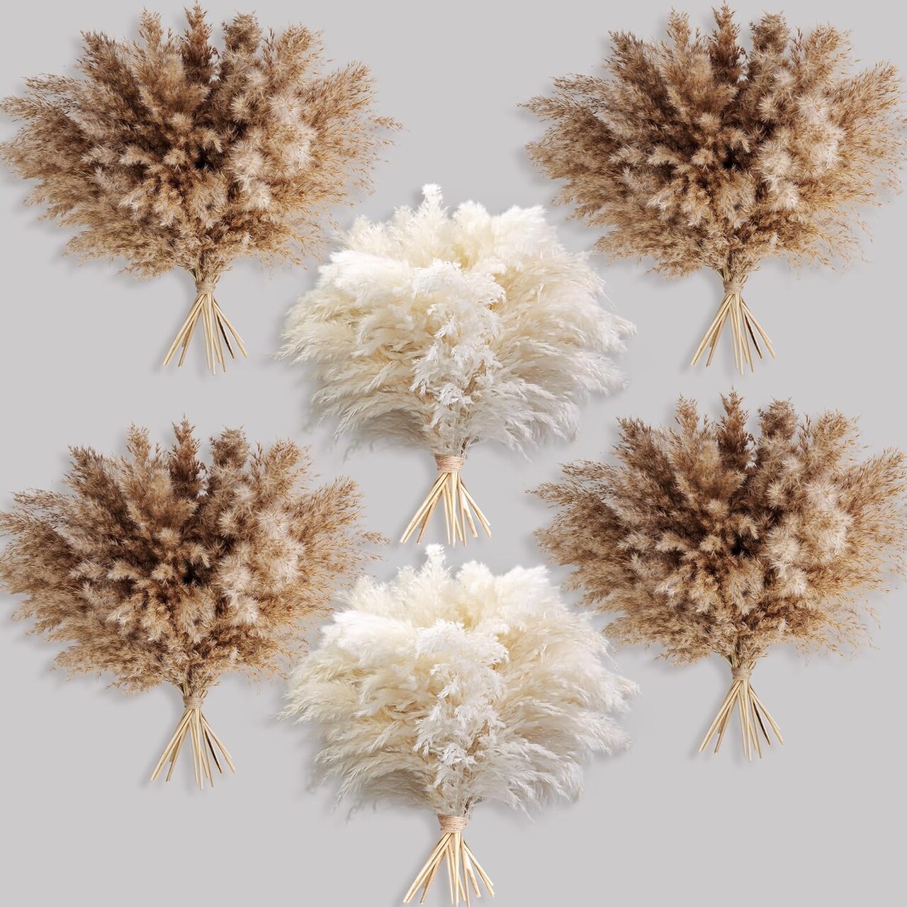 Fluffy Pompas Grass, Natural Dry Pampas Grass Small(Brown,white)